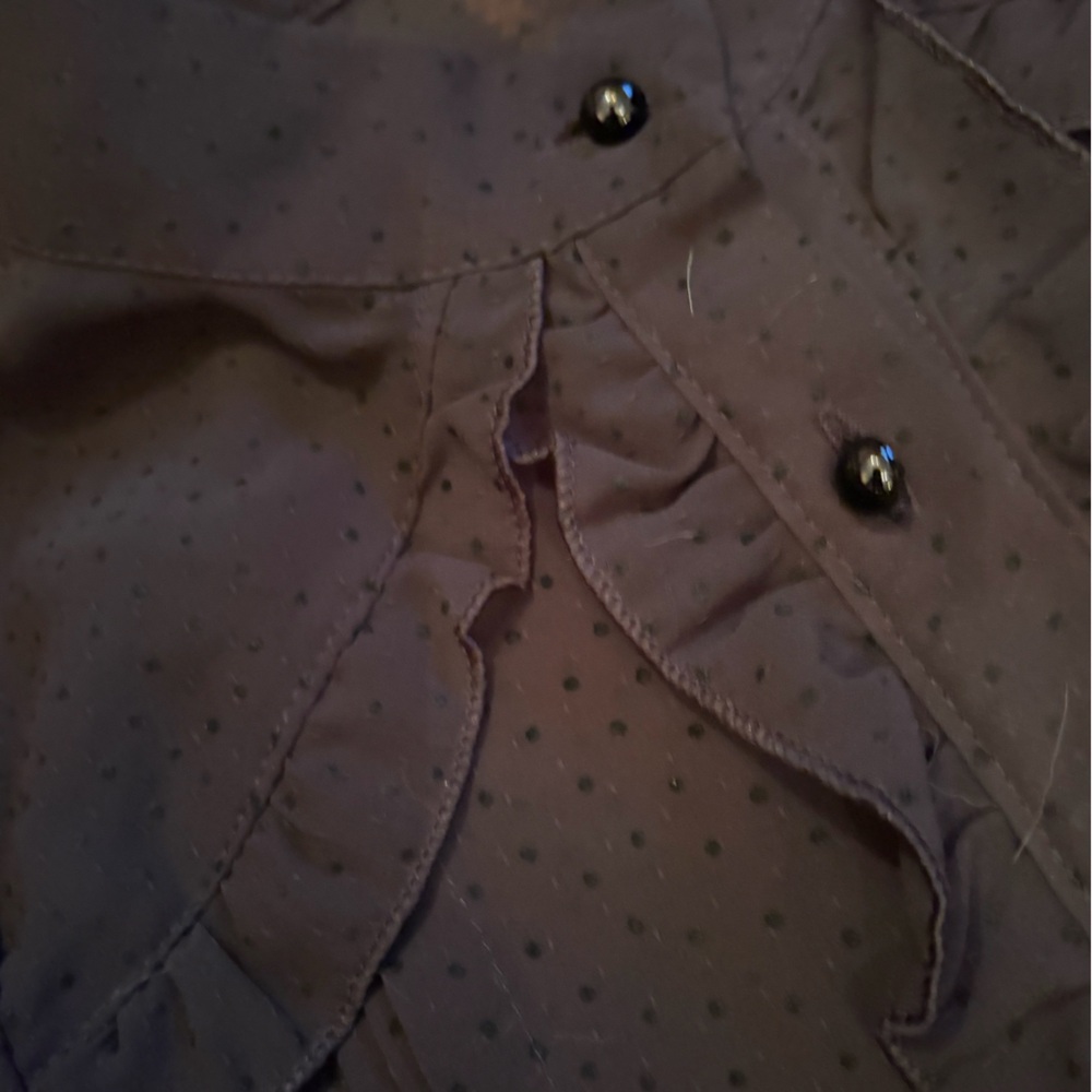 Black Button-Up  dotted swiss chiffon Blouse - Picture 2 of 4